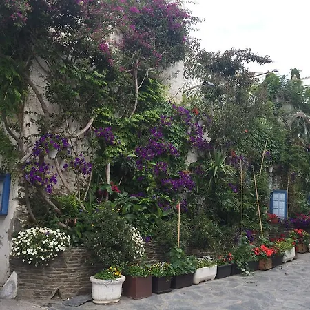Pitxot * Cadaques