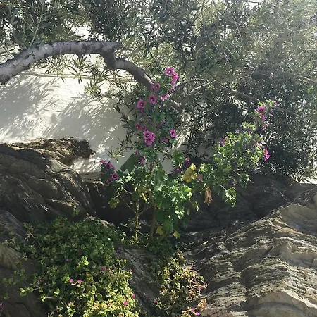 Pitxot * Cadaques